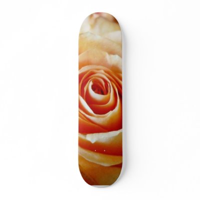 Apricot Coloured Rose Closeup Skate Board by lifesphere