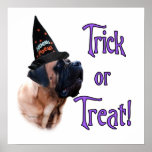 Apricot Mastiff Trick Poster