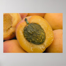 Apricot  Picture Poster
