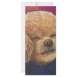 Apricot Poodle Fall Leaves Art Print Rack Card