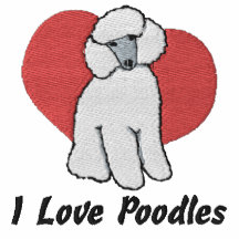 Apricot Poodle Love