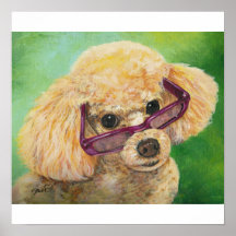 Apricot Poodle Portrait Print