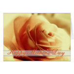Apricot Rose Mothers Day Thank You Card