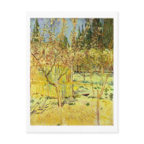 Apricot Trees in Blossom, Vincent van Gogh Post Cards