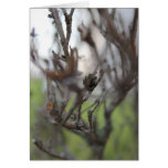 April 30 Summer Sticks #2 Card