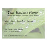April Showers Business Card Templates