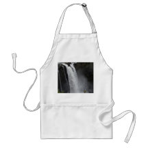 Apron:  Snoqualmie Falls