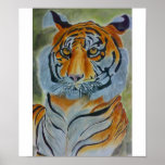 apron tiger poster