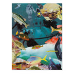 Aqua Adventures Postcard
