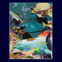 Aqua Adventures Postcard postcards