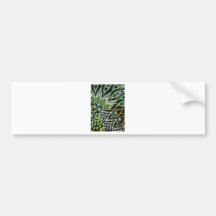Aqua and Black Peacock Bumper Stickers