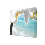 Aqua Beach Orchid Gallery Wrap Canvas