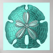 Aqua Sand Dollar Poster Print