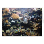 Aquarium Card