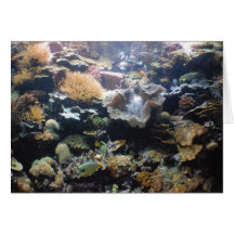 Aquarium Card