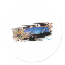 Aquarium Collection by FishTs.com Sticker