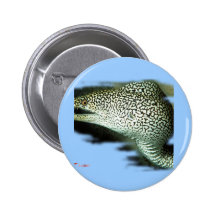 Aquarium Fish Collection by FishTs.com Pinback Button