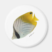 Aquarium Fish Collection by FishTs.com Refrigerator Magnet