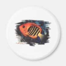 Aquarium Fish Collection by FishTs.com Fridge Magnet
