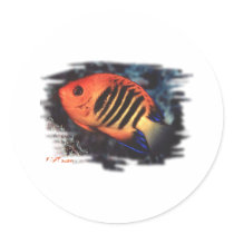 Aquarium Fish Collection by FishTs.com Round Stickers