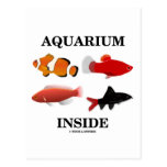 Aquarium Inside Postcard
