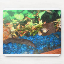 aquarium mouse pad