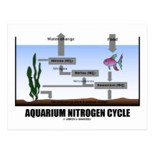 Aquarium Nitrogen Cycle (Ecology) Postcards