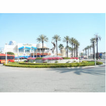 Aquarium of the Pacific Cut Outs