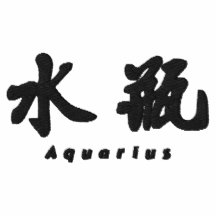 Aquarius (H) Chinese Calligraphy Design 1 Embroidered Shirt