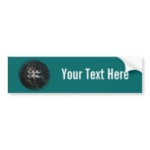 Aquarius Zodiac Star Sign Universe