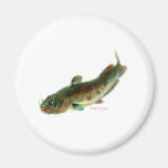 Aquatic Animal Art Refrigerator Magnet