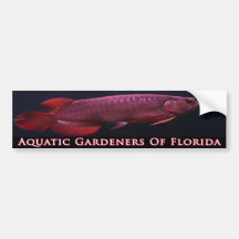 Aquatic Gardeners of Florida- Arowana Bumper Sticker