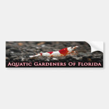 Aquatic Gardeners of Florida- Crystal Red Shrimp Bumper Sticker