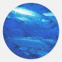 Aquatic Stickers