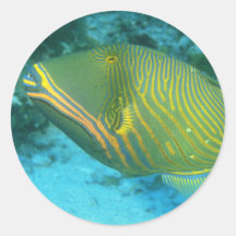 Aquatic Stickers