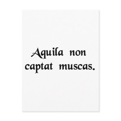 Aquila non captat muscas postcard by Vox_Populi