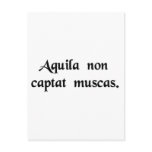 Aquila non captat muscas postcards