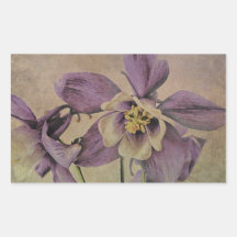 Aquilegia Delicate Textured . Rectangle Stickers