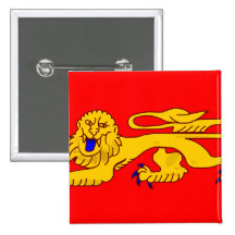 Aquitaine, France flag Pinback Button
