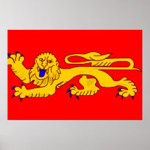 Aquitaine, France flag Print