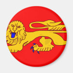 Aquitaine, France flag Refrigerator Magnets