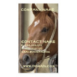 Arab Horse Business Card