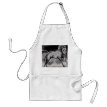 arab horse cantering dark effect apron