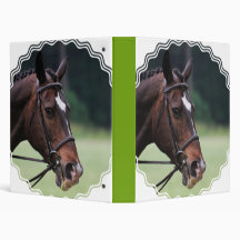 Arab Horse with White on Face Binder
