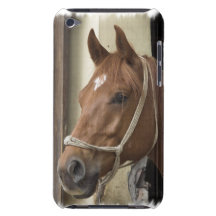 Arab Horses iTouch Case iPod Case-Mate Case