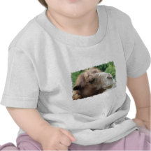 Arabian Camel Baby T-Shirt
