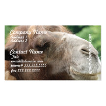 Arabian Camel Business Cards