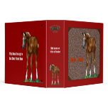 Arabian Foal Custom Avery Binder