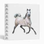 Arabian Horse - Alia Binder