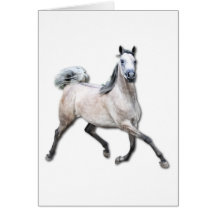 Arabian Horse - Alia Card
